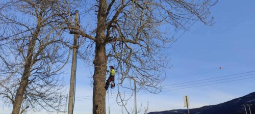 0b99cdd872fc2c477ff35c6c7ab35b5f