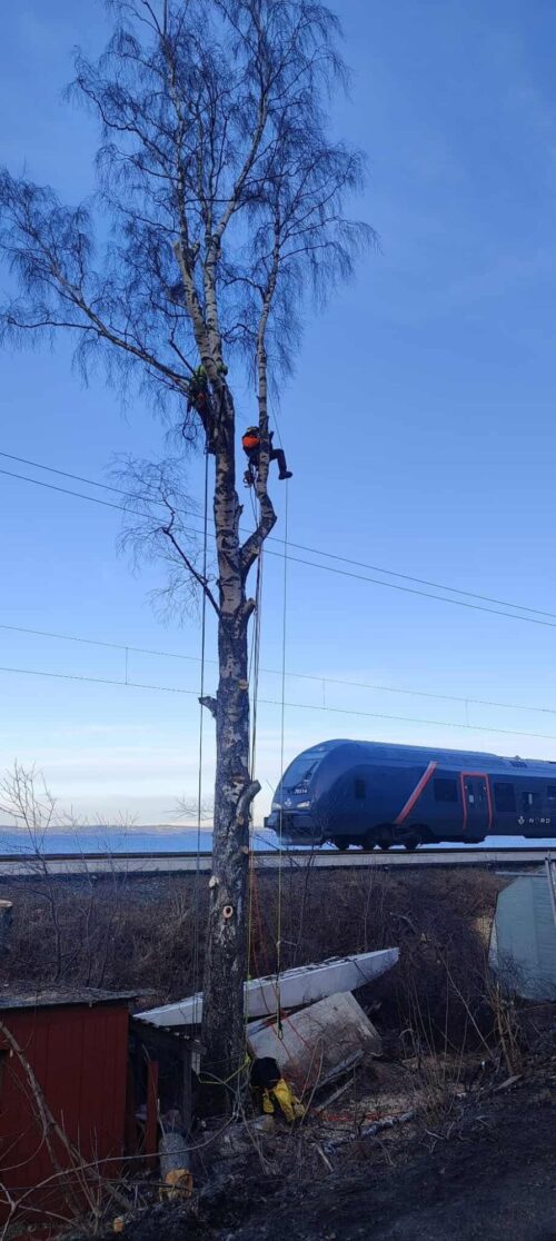 b13f30a48318560ba23b224cc5af13cc