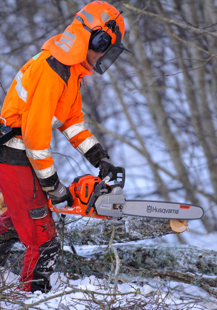 Rydding av småskog